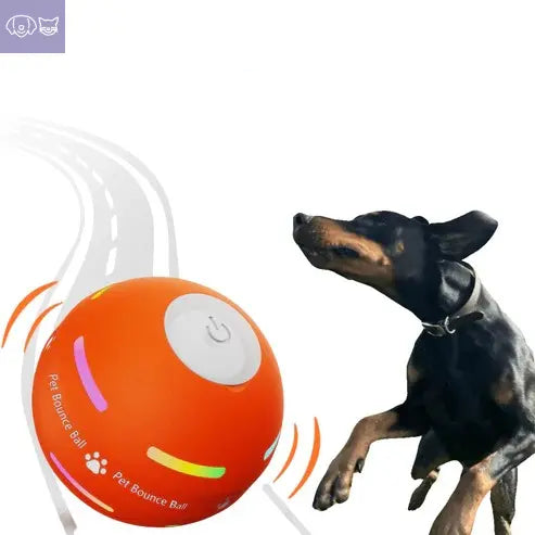 ✨2025 ✨New release - Pet Bounce Ball PawsMagics