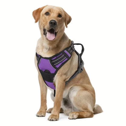 Dog Harness No Pull with 2 Leash Clips, Adjustable Soft Padded, Reflective Oxford No Choke Pet Vest with Easy Control Handle PawsnHeart