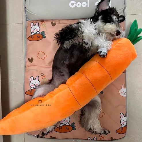 Calming Carrot PawsMagics