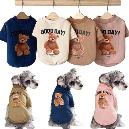 Small dog wearing a warm puppy pullover sweatshirt with a cute bear pattern