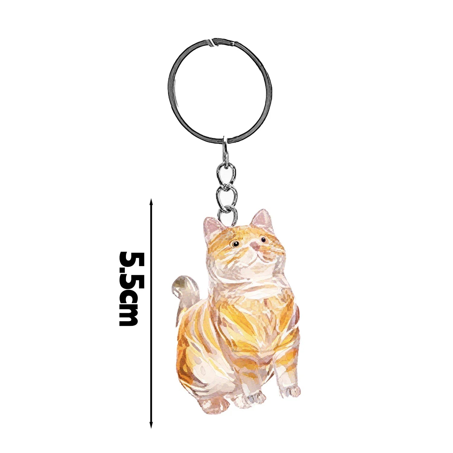 New Cute Cat Hair Storage Box Keychains Bag Hanging Pendant Pet Hair Fur Transparent Creative Souvenir Pet Memorial Ideal Gifts PawsnHeart