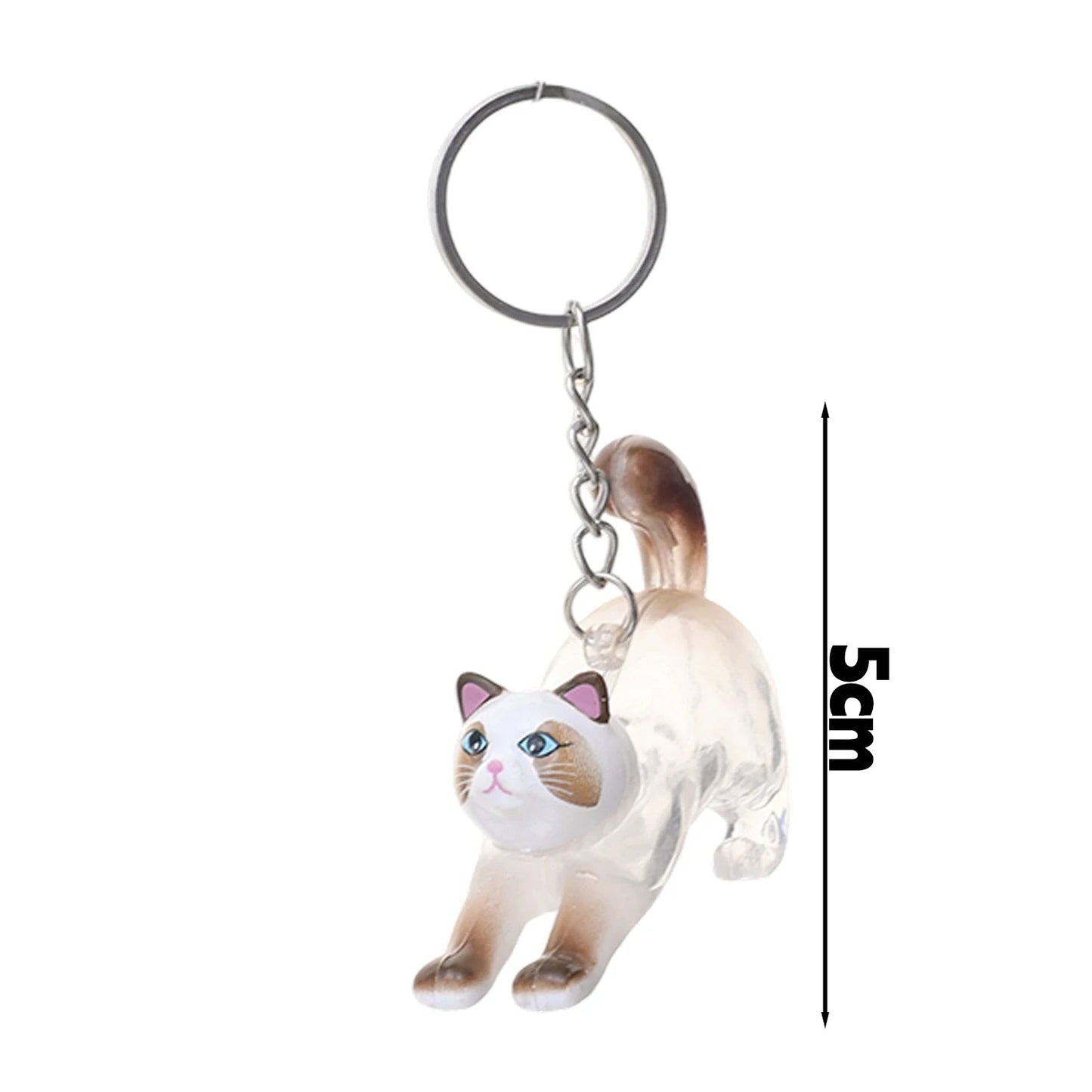 New Cute Cat Hair Storage Box Keychains Bag Hanging Pendant Pet Hair Fur Transparent Creative Souvenir Pet Memorial Ideal Gifts PawsnHeart