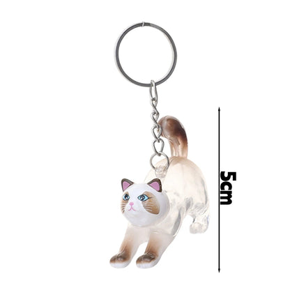 New Cute Cat Hair Storage Box Keychains Bag Hanging Pendant Pet Hair Fur Transparent Creative Souvenir Pet Memorial Ideal Gifts PawsnHeart