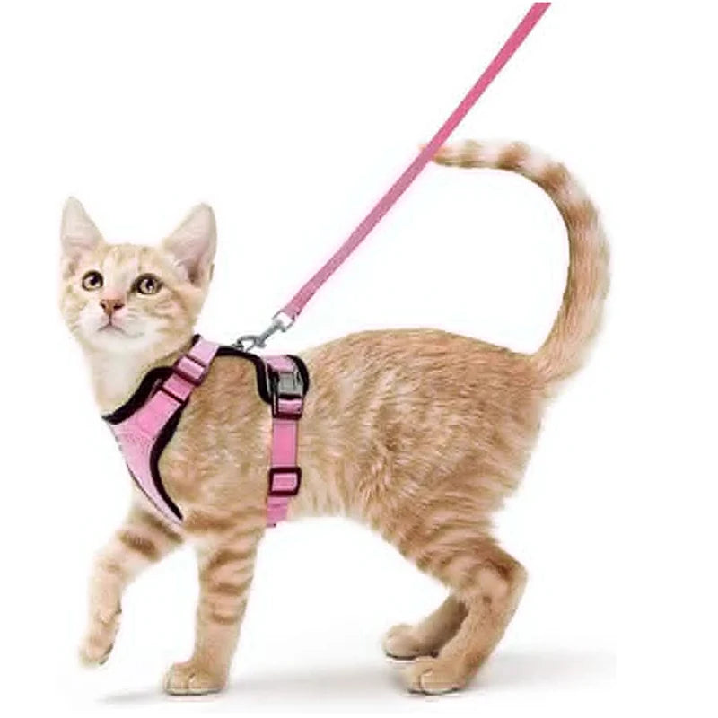 Cat Harness and Leash for Walking, Escape Proof Soft Adjustable Vest Harnesses for Cats, EasyControl PawsnHeart