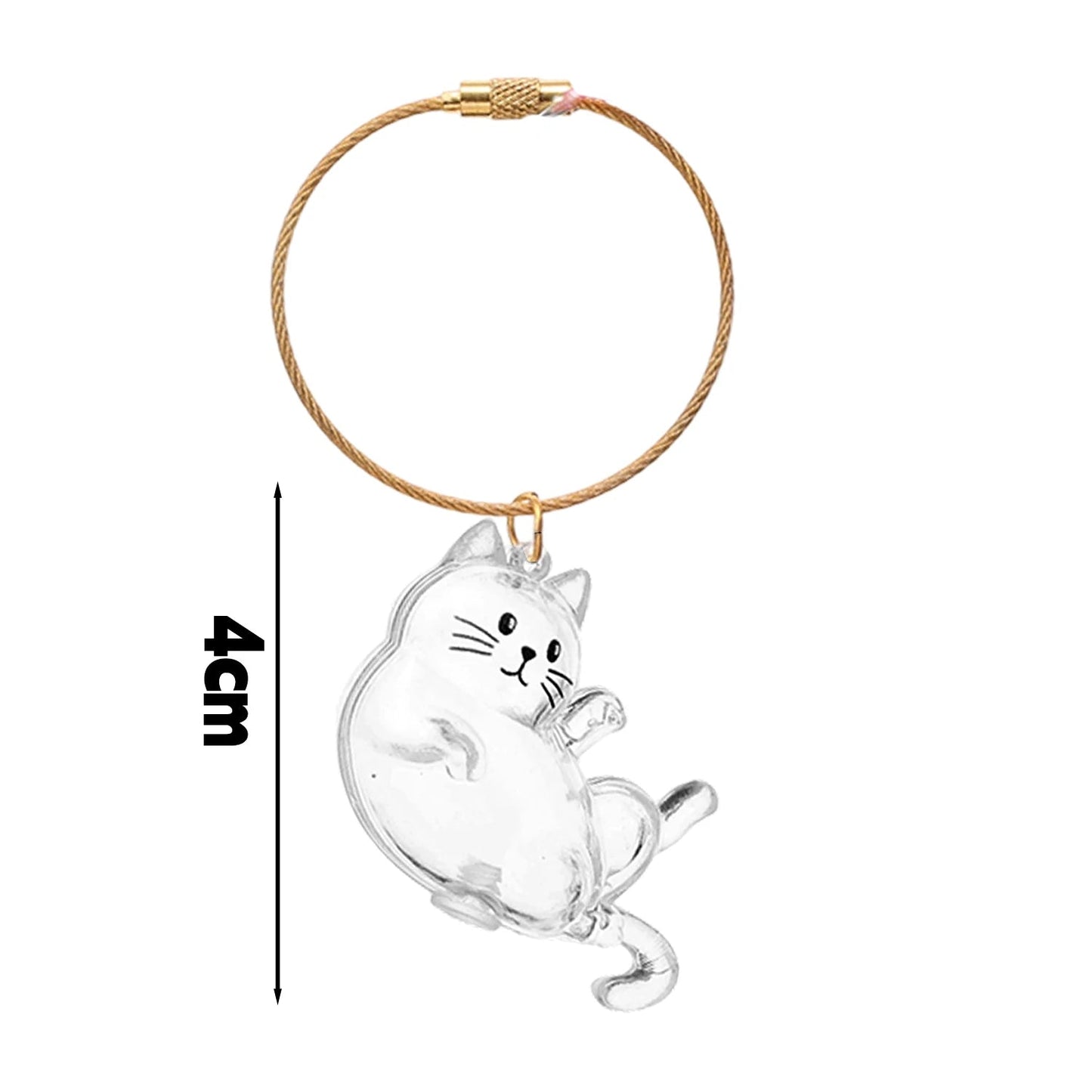 New Cute Cat Hair Storage Box Keychains Bag Hanging Pendant Pet Hair Fur Transparent Creative Souvenir Pet Memorial Ideal Gifts PawsnHeart