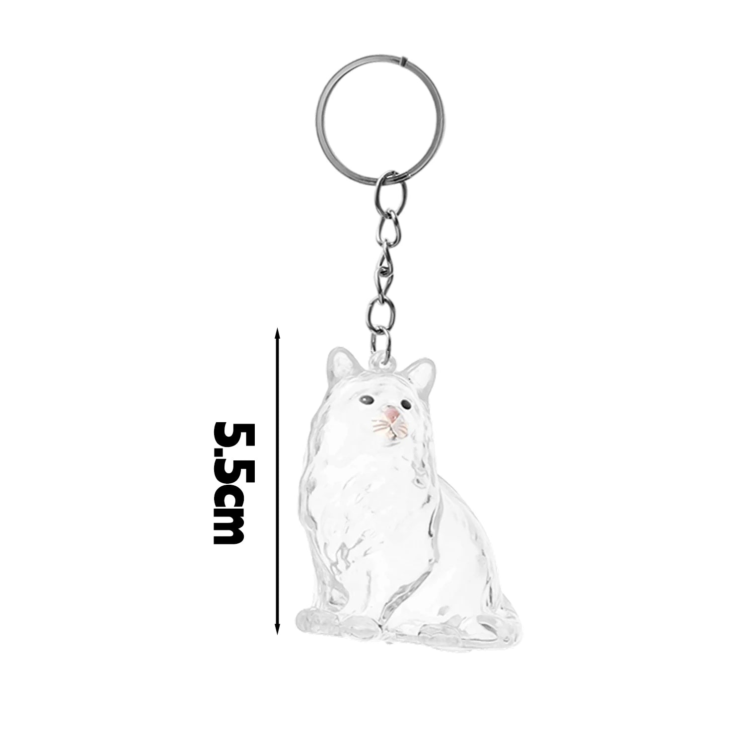 New Cute Cat Hair Storage Box Keychains Bag Hanging Pendant Pet Hair Fur Transparent Creative Souvenir Pet Memorial Ideal Gifts PawsnHeart