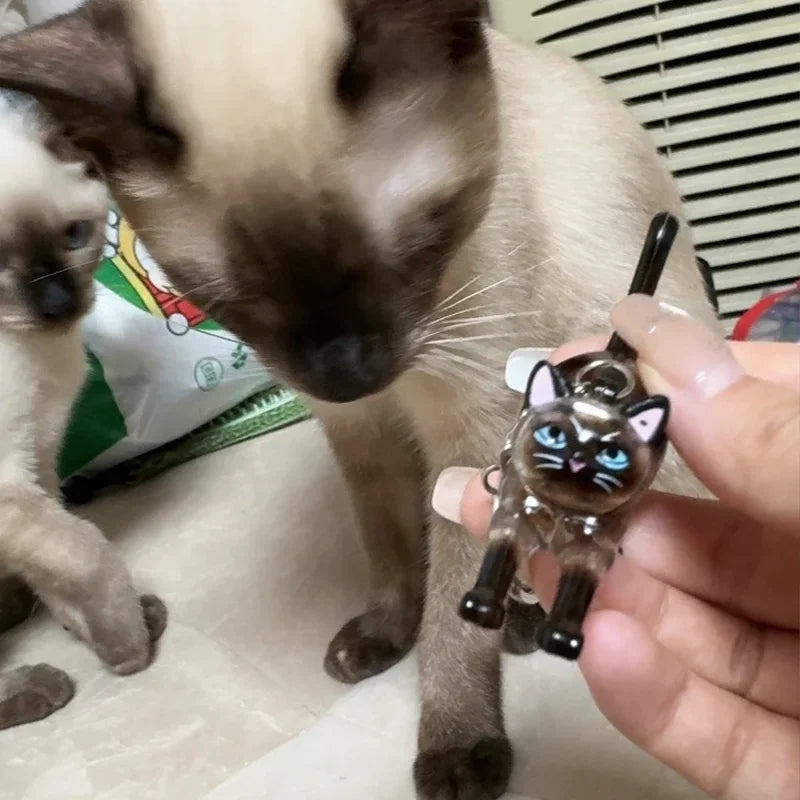 New Cute Cat Hair Storage Box Keychains Bag Hanging Pendant Pet Hair Fur Transparent Creative Souvenir Pet Memorial Ideal Gifts PawsnHeart