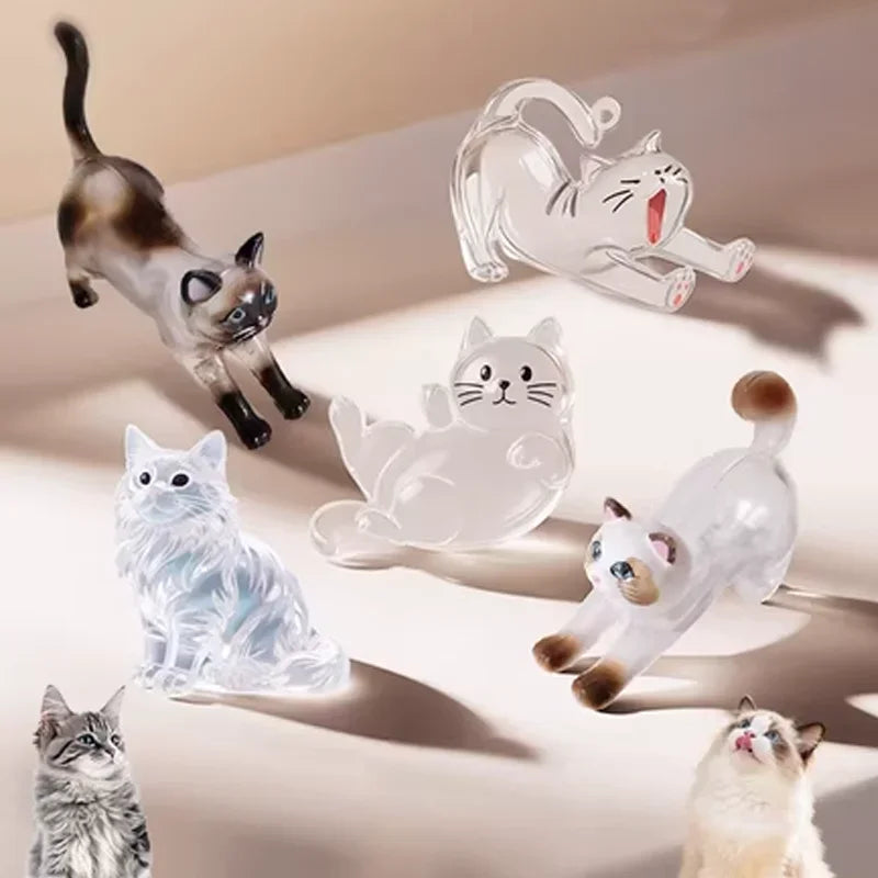 New Cute Cat Hair Storage Box Keychains Bag Hanging Pendant Pet Hair Fur Transparent Creative Souvenir Pet Memorial Ideal Gifts PawsnHeart