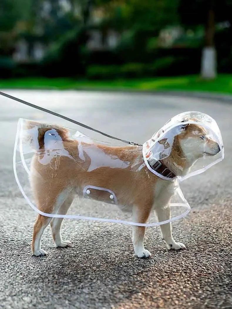 Dogs going out, transparent waterproof raincoat with hat pet raincoat PawsnHeart