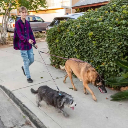 New Tangle-Free Swivel Double Bungee Leash Shock Absorbing Comfortable Dog Leashes Retractable Dog Rope Pet Accessories PawsnHeart