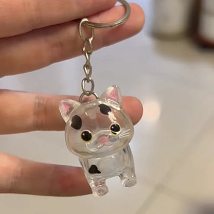 New Cute Cat Hair Storage Box Keychains Bag Hanging Pendant Pet Hair Fur Transparent Creative Souvenir Pet Memorial Ideal Gifts PawsnHeart