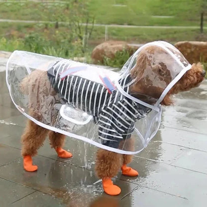 RainyWoof™ PawsnHeart